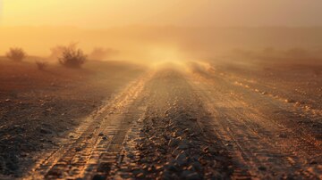 The Man in the Dust