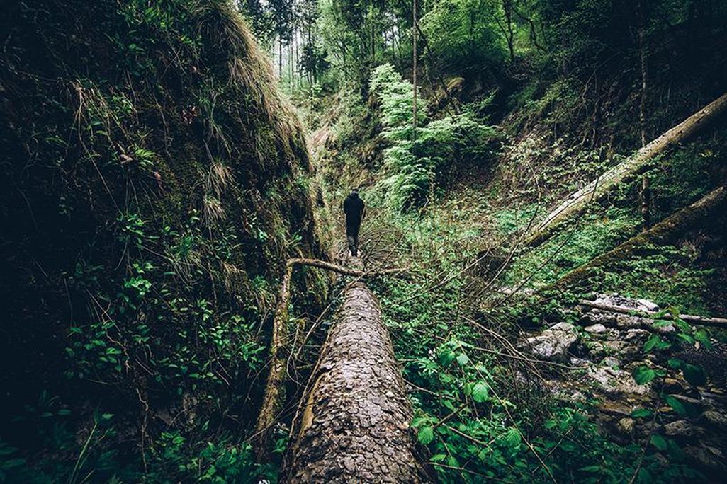 TO BE LOST